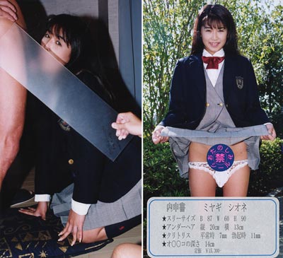 平成トキメキ女学園 15のパッケージ画像