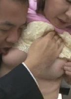 痴●電車 極悪非道生中出し 防犯カメラ設置前の○○線乗車のおばちゃん狙い射ち編のジャケット